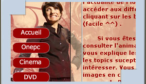 Mini-site Flash