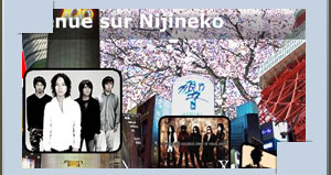 site web Nijineko